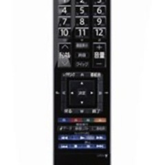 TOSHIBA REGZA の画像