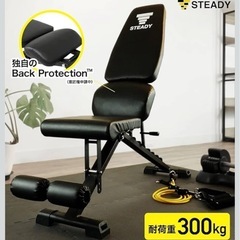 STEADY トレーニングベンチの画像