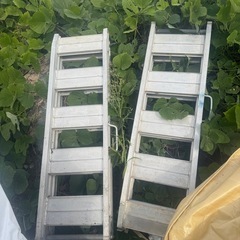 アルミブルッジの画像