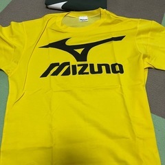 2着セット　某有名メーカー　Ｔシャツの画像