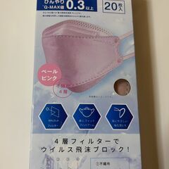 マスク　１０枚