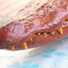 ワニ模型 剥製？　全長約120cm ディスプレイ インテリア 標本 置物の画像