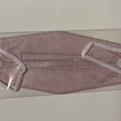 マスク　１０枚の画像