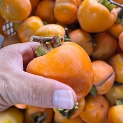 干し柿　エボ柿　一個の金額の画像