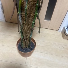 【同アカウント他商品を値引いてセット販売可能】観葉植物(フェイクグリーン)※本物の植物ではありません！の画像