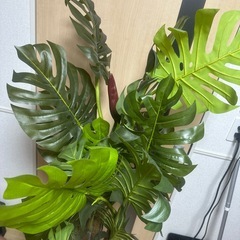 【同アカウント他商品を値引いてセット販売可能】観葉植物(フェイクグリーン)※本物の植物ではありません！の画像