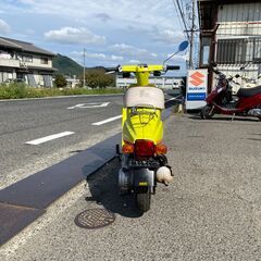 スズキ 薔薇 バラ CA13A 実動 書類付き ビンテージレトロ スクーター 希少カラー レストア 盆栽 お買い物 オブジェにもの画像