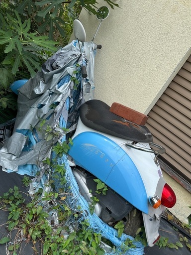スクーピー　HONDA ホンダ　バイク　原付