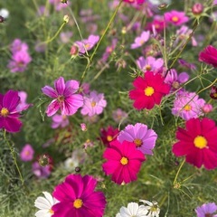 【スマホのみでOK】美容系PRに興味がある方🌹