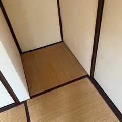 畳７枚と半畳の画像