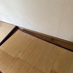 畳７枚と半畳の画像