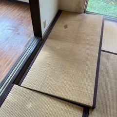 畳７枚と半畳の画像