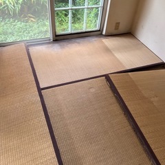畳７枚と半畳の画像