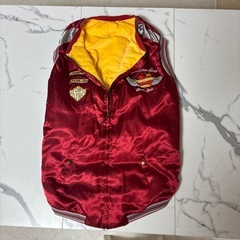 大型犬お洋服の画像