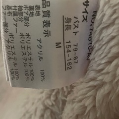 ジャンバーレーディスの画像