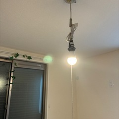 パナソニック　LED シーリング