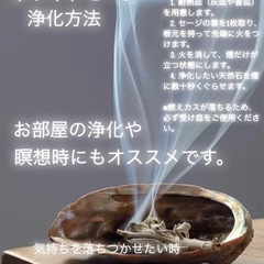 占い🔮タロット鑑定＋浄化セット
の画像