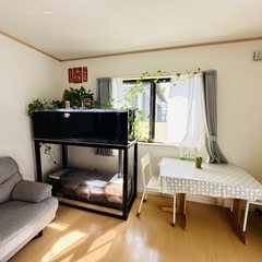 1500水槽(カンテツ)の画像