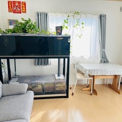 1500水槽(カンテツ)の画像