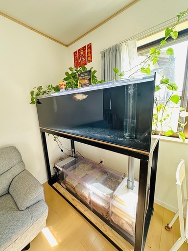 1500水槽(カンテツ)