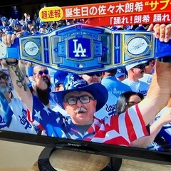 テレビの画像