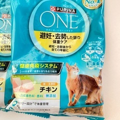 ピュリナ　猫ごはん　チキンの画像