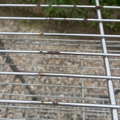 スチールラックの画像