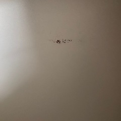 ベッドフレームの画像