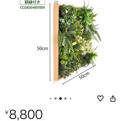 50cm×50cm大きなウォールグリーン フェイクグリーン 新品未使用の画像