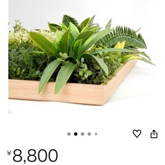 50cm×50cm大きなウォールグリーン フェイクグリーン 新品未使用の画像