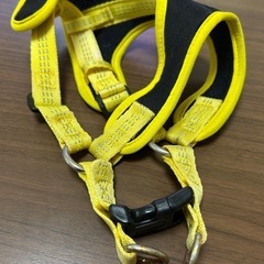 お話中。犬の飼育グッズセット。服は未使用の画像