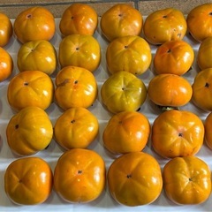 柿　最終値下げ間近　無農薬、横浜産、11/4夕方取りました。（２）の画像