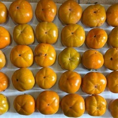 柿　最終値下げ間近　無農薬、横浜産、11/4夕方取りました。（２）の画像