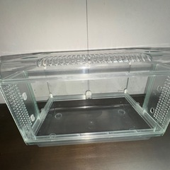 小動物ゲージ
の画像