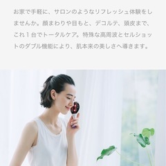 エイミービーブラッシュの画像