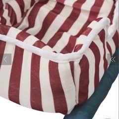 スリーコインズ　クリスマス2025 そりの画像