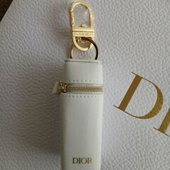 ディオール紙袋とノベルティの未使用リップケースの画像