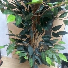 ※現在取引交渉中※【同アカウント他商品を値引いてセット販売可能】観葉植物③(フェイクグリーン)※本物の植物ではありません！の画像