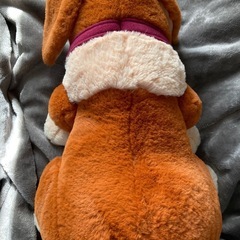 ディズニーリゾート　ピーターパン犬の画像