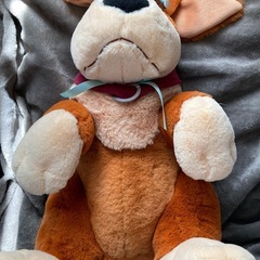 ディズニーリゾート　ピーターパン犬の画像