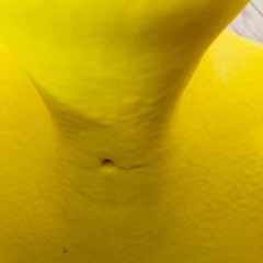 バンボ、ベビーチェアの画像