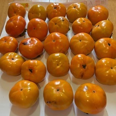 柿　無農薬、横浜産、11/4夕方取りました。（４）の画像