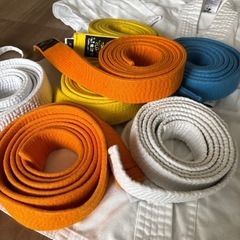 空手　道着　子供の画像