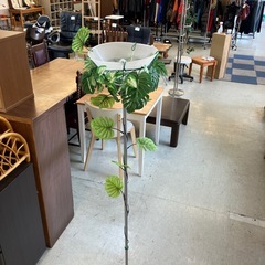 A2511-062 フロアスタンドライト 間接照明 装飾品 観葉植物 キズ汚れ有りの画像