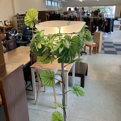 A2511-062 フロアスタンドライト 間接照明 装飾品 観葉植物 キズ汚れ有りの画像