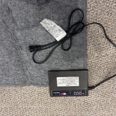 電気カーペットの画像