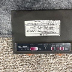 電気カーペットの画像