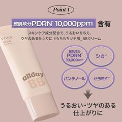 オールデーグラススキンBBクリーム フェアの画像