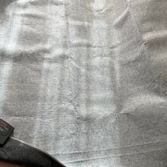 決まりました！アイリスオーヤマ　電気カーペット　ホットカーペット　防寒　冬の画像