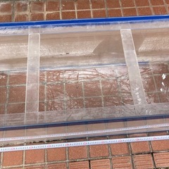 交渉中 大きめの水槽
の画像